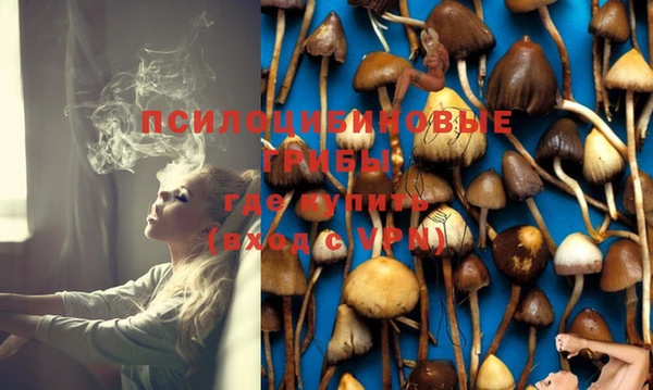 таблы Богородск