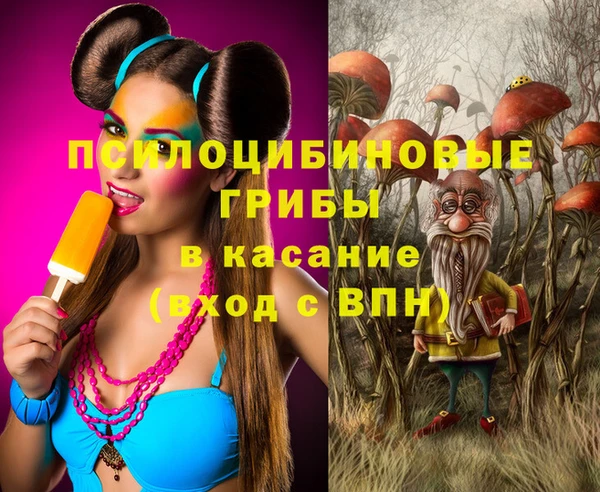 jwh Богородицк